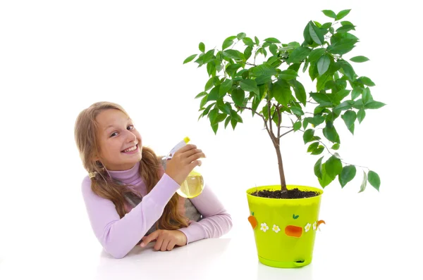 Schoolgirl and the tangerine tree in the green pot — Stock Photo, Image