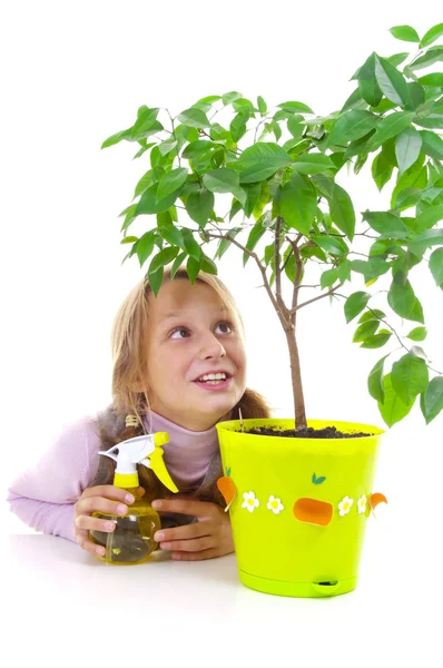 Skolflicka och tangerine träd i gröna grytan — Stockfoto