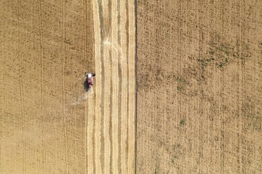Tarladaki hasat makinası tahıl topluyor. Hava görünümü.