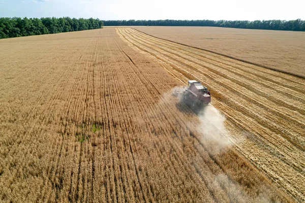 Ein Mähdrescher Auf Dem Feld Erntet Getreide Luftaufnahme lizenzfreie Stockfotos
