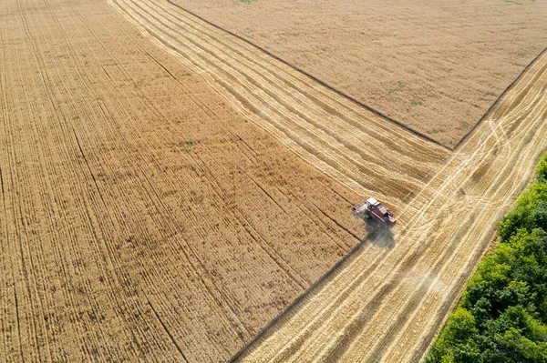 田里的联合收割机收割谷物 空中景观 图库图片