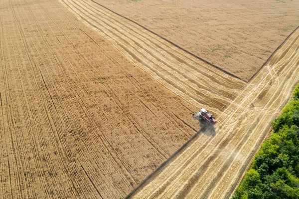 Een Maaidorser Het Veld Oogst Graan Luchtzicht Stockfoto