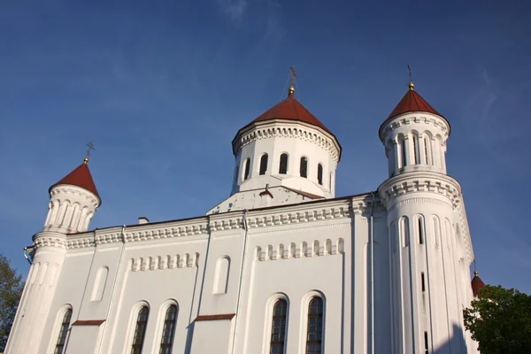 Kathedraal van de veronderstelling van de gezegende moeder van god in vilnius — Stockfoto