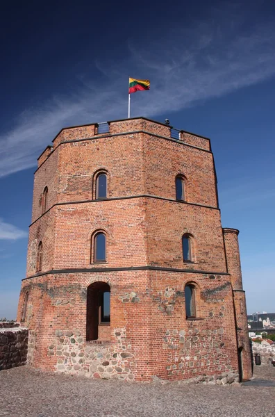 Gediminas-torony, vár-hegy, Vilnius, Litvánia — Stock Fotó