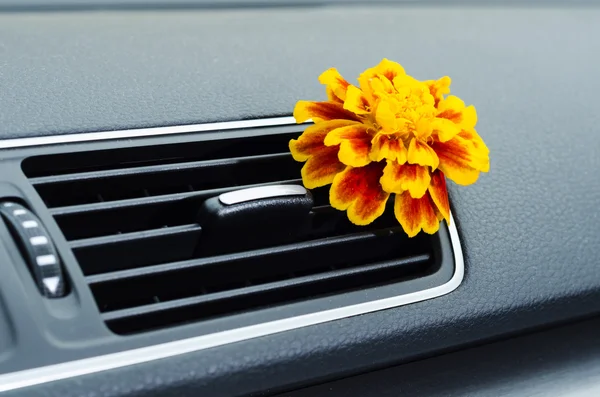 Natural car air freshener Stock Photo
