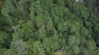 Aerial footage ofa waterfall in rocky green forests high at the mountains