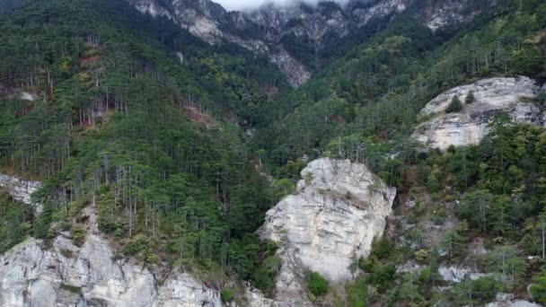 Images Aériennes Forêts Vertes Rocheuses Haute Montagne Images Aériennes Une — Video