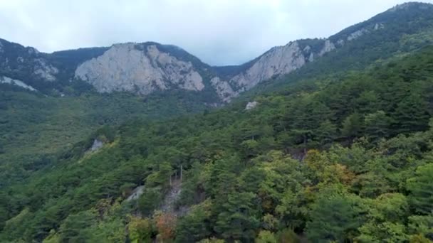 Luchtbeelden Van Een Landschap Met Verschillende Kleuren Groene Bossen Het — Stockvideo