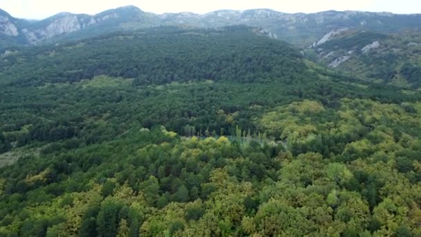 森の中の表面に雲の反射と緑の湖の空中映像 秋のシーズン中に — ストック動画