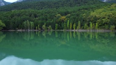 Sonbahar mevsiminde, ormanın yüzeyinde bulutların ve ağaçların yansıması olan yeşil bir gölün hava görüntüleri.