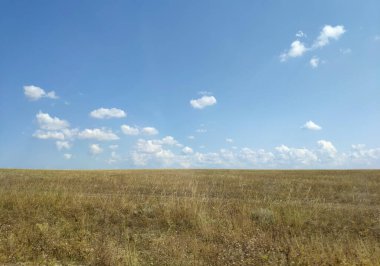 Kırım Yarımadası. Bozkır Kırım 'ın batı kesimindeki Ağustos manzarası.