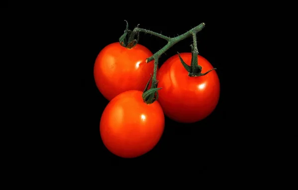 赤いトマトの束 — ストック写真