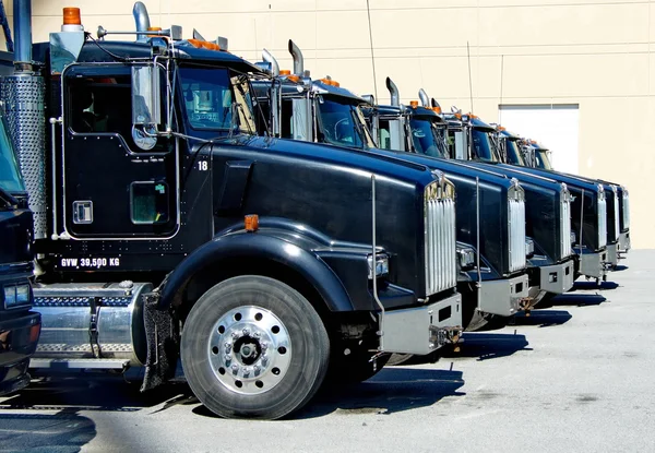 Rental trucks parking — Stock Photo, Image