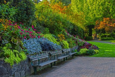 Vancouve City 'deki parkta dinlenme yeri. Benç, çiçek açan çalıların arasında çiçek tarlaları olan yeşil bir çimenliğe yayılan ağacın gölgesinin altında, Britanya Kolumbiyası, Kanada