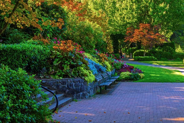 Vancouve City Deki Parkta Dinlenme Yeri Benç Çiçek Açan Çalıların — Stok fotoğraf