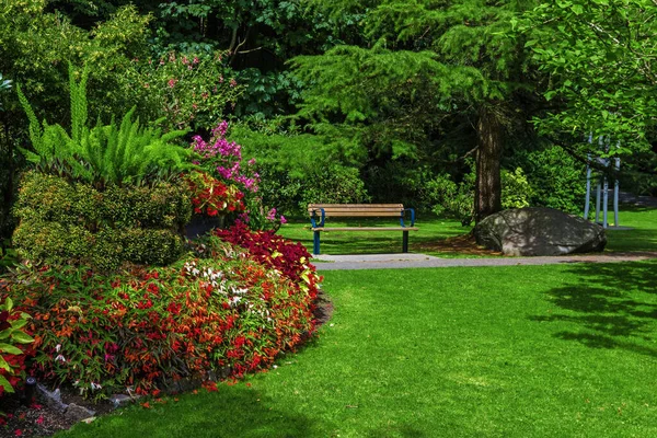 Rustplaats Het Park Vancouve City Bank Gelegen Onder Het Bladerdak — Stockfoto