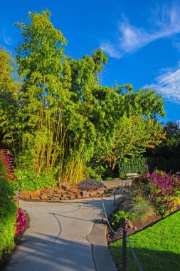 Kraliçe Elizabeth Park Vancouver. Şehir parkında çiçek açan yataklar. Güzel doğal bahçe konsepti. Taşlı tepenin ve mavi bulutlu gökyüzünün arka planında çiçekler ve ağaçlar