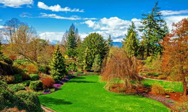 Kraliçe Elizabeth Park Vancouver. Şehir parkında çiçek açan yataklar. Güzel doğal bahçe konsepti. Taşlı tepenin ve mavi bulutlu gökyüzünün arka planında çiçekler ve ağaçlar