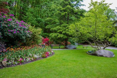 New Westminster City 'deki Victoria Hill Parkı' nda dinlenme yeri. Benç, çiçek açan çalıların arasında çiçek tarlaları olan yeşil bir çimenliğe yayılan ağacın gölgesinin altında, Britanya Kolumbiyası, Kanada