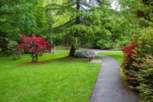 New Westminster City 'deki Victoria Hill Parkı' nda dinlenme yeri. Benç, çiçek açan çalıların arasında çiçek tarlaları olan yeşil bir çimenliğe yayılan ağacın gölgesinin altında, Britanya Kolumbiyası, Kanada