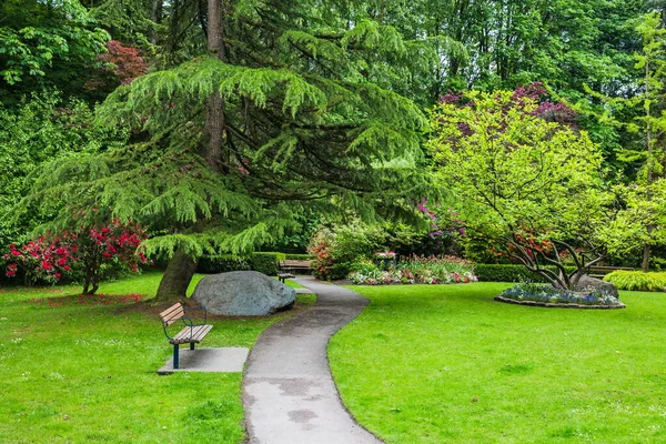 ニューウェストミンスター市のビクトリア パークで休憩 ベンチは 開花低木 ブリティッシュコロンビア州 カナダの間で花壇と緑の芝生の上に木を広げるキャノピーの下に位置しています — ストック写真