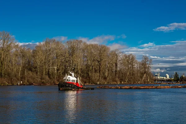 Fraser River Spring Time Tugboat Towing Rafts Lumber River Shores — Photo