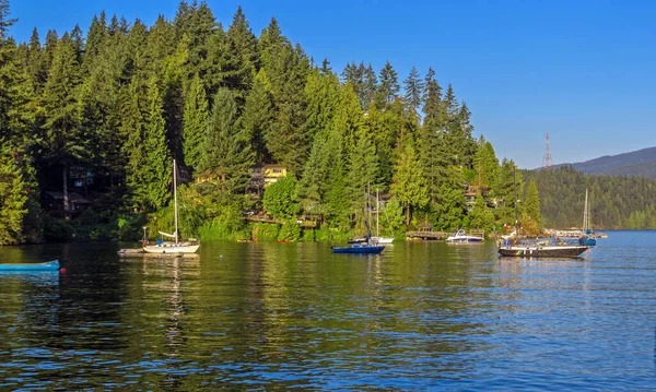 Wooded hillside village in Deep Cove in North Vancouver, bay, coastline, marine, speed boats, sailboats, people kayaking, recreation