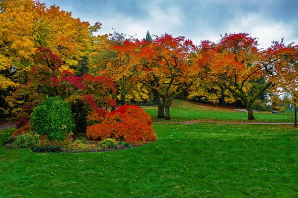 Фрагмент Горного Парка Бернаби Осенний Пейзаж Тропа Пешком Нависающими Ветвями — стоковое фото