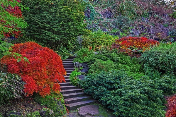 Fragment Queen Elizbeth Park Autumn Landscape Pedestrian Staircase Overhanging Branches — Photo