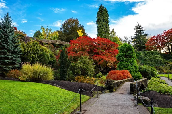 Fragment Queen Elizabeth Park Autumn Landscape Pedestrian Bridge Walk Path — Foto Stock