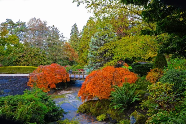 Kraliçe Elizabeth Park Bir Parçası Sonbahar Manzaralı Yaya Köprüsü Üzerinde — Stok fotoğraf