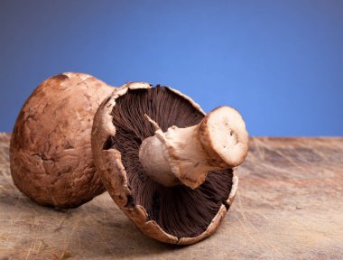 Edible mushrooms close up studio shot.