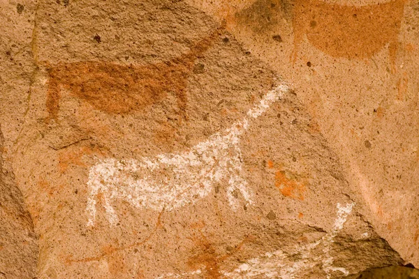 Ancient Cave Paintings Patagonia Argentina — Photo