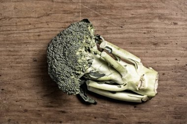 Broccoli on rough canvas.