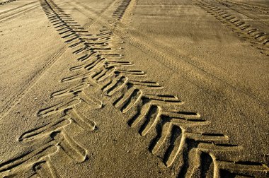 Tractor and car tracks in the sand at dusk.