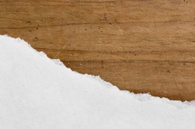 Piece of torn white paper, close up shot.