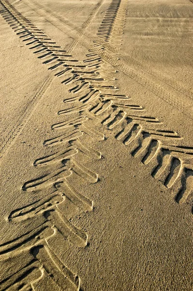 Tractor Car Tracks Sand — Stock Photo, Image