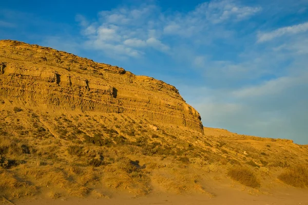 Desert Landscape Coast Patagonia Sunset Light lizenzfreie Stockfotos