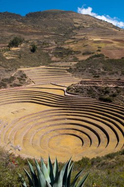 Moray ruins, close to Cusco, Peru.