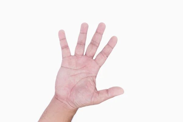 人間の手の 5 本の指を示す ロイヤリティフリーのストック写真