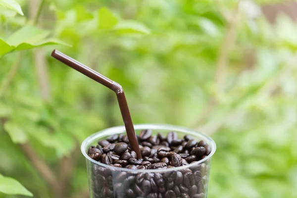 Close up de grão de café em vidro — Fotografia de Stock