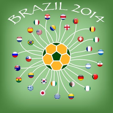 bayrak futbol takımının Dünya Kupası 2014