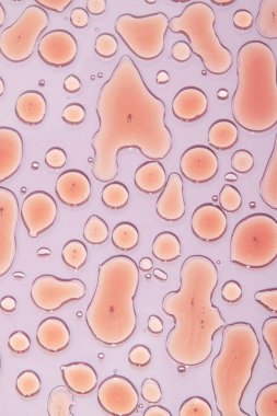 Sıvı üst görünüm kozmetik arka plan yağı, serum, tentür düz yatıyordu