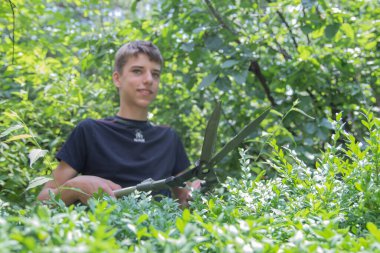 Çalı çırpı kesmek için makaslı bir çocuk. Bahçedeki çalıları buduyorum. Değişken odak