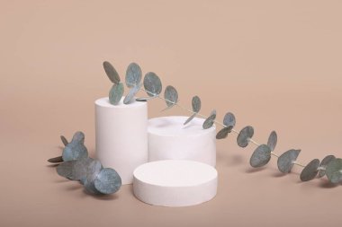Bej arka planda okaliptüs dalı olan kozmetik ürünleri için beton podyum modeli