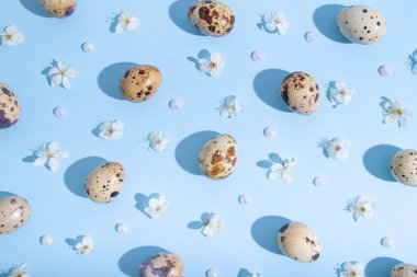 Minimalist düz konum, paskalya yumurtaları ve mavi arka planda kiraz çiçekleri desenli üst görünüm kompozisyonu. Moda asgari biçimi.