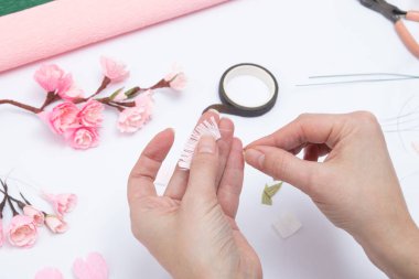 Bükülmüş kağıttan sakura çiçekleri olan bir bahar dalı oluşturuluyor. DIY Master sınıfı.