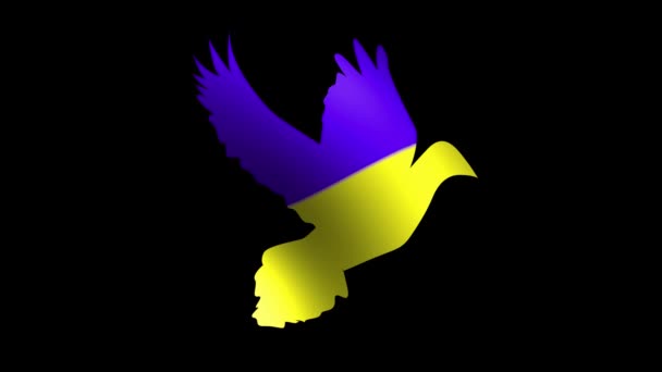 Silhueta Uma Pomba Com Uma Bandeira Ucraniana Azul Amarela Formação — Vídeo de Stock