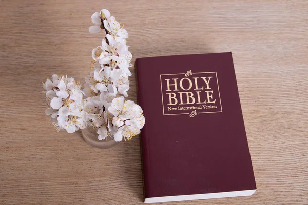 Sacra Bibbia Sul Tavolo Vista Dall Alto Con Ramo Primaverile — Foto Stock