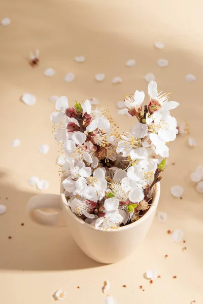 Copa Composición Abstracta Primavera Con Flores Primavera Sobre Fondo Beige —  Fotos de Stock